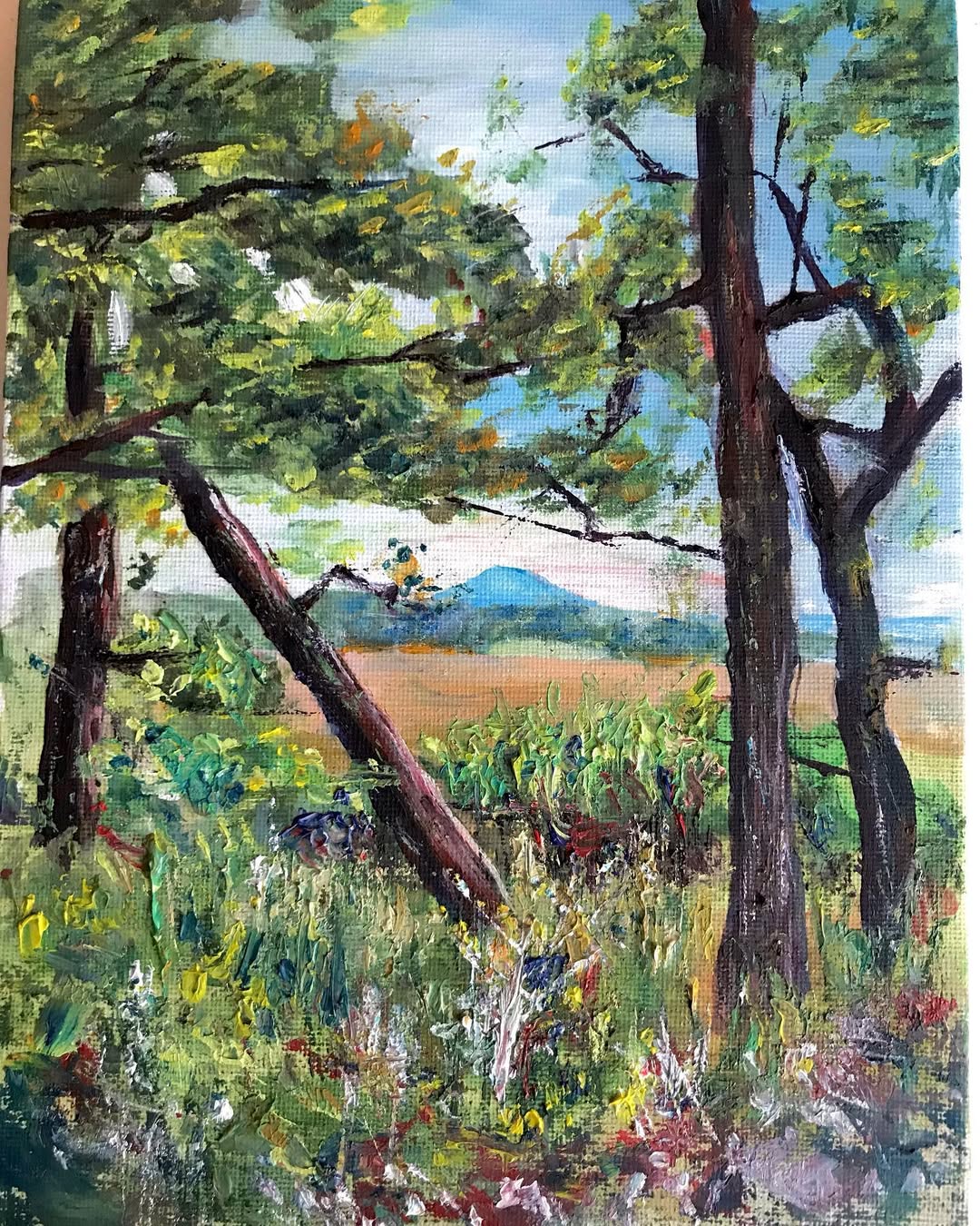 Landscape - oil on board