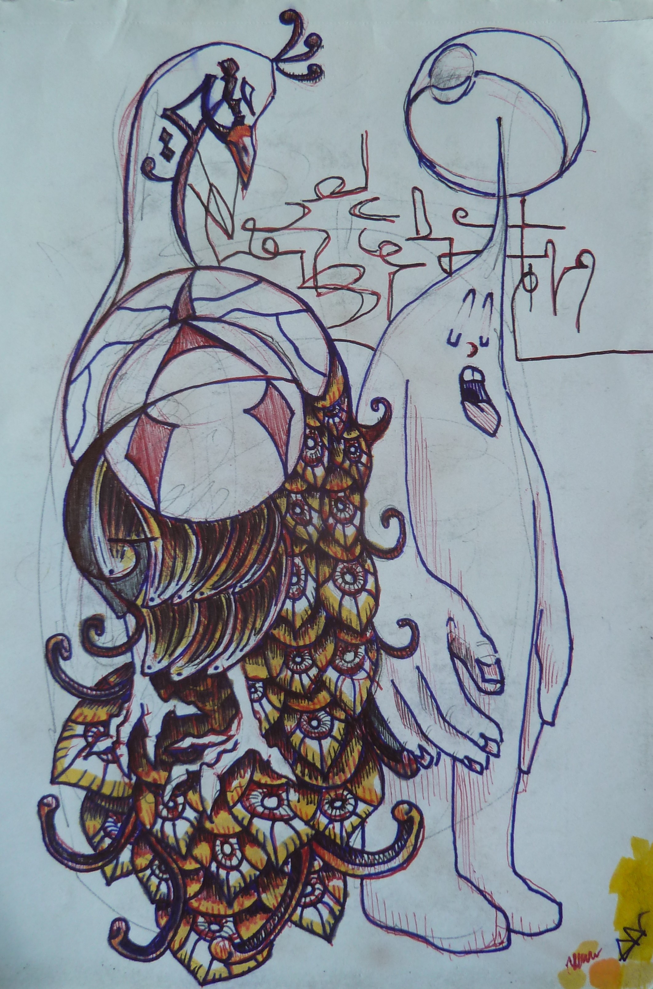 Bird guy
